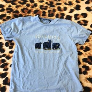 a light blue t shirt from brandy melville